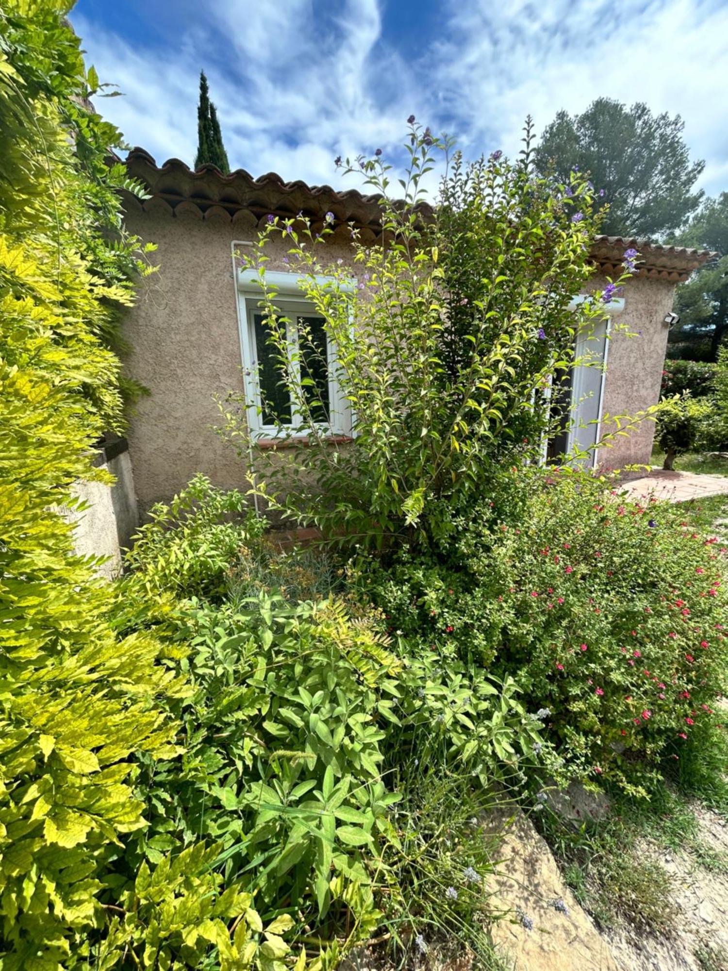 Villa De Charme En Campagne Avec Piscine Privee Et Nature Luxuriante Le Beausset Eksteriør bilde